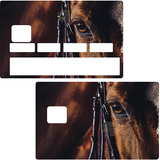 Horse- credit card sticker, 2 credit card formats available