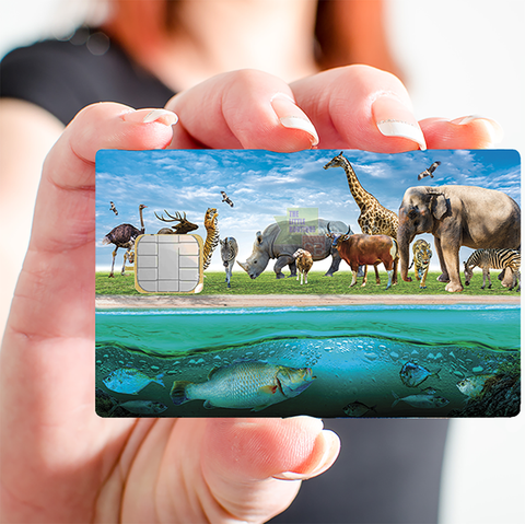 Terre des Animaux - credit card sticker, 2 credit card formats available