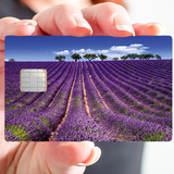 Lavender Fields- credit card sticker, 2 credit card formats available