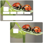 ladybugs - credit card sticker, 2 credit card formats available