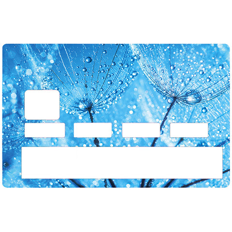 Frost flower- credit card sticker, 2 credit card formats available