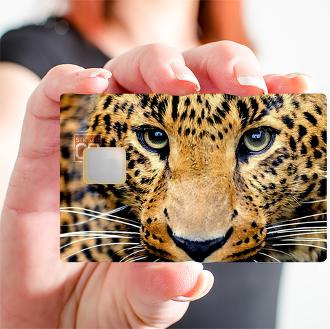 Leopard head - credit card sticker, 2 credit card formats available