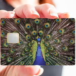The Peacock - credit card sticker