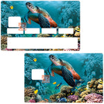 Marine Turtle - credit card sticker, 2 credit card formats available