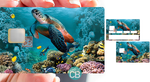 Marine Turtle - credit card sticker, 2 credit card formats available