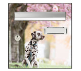 Dalmatian dog letterbox sticker