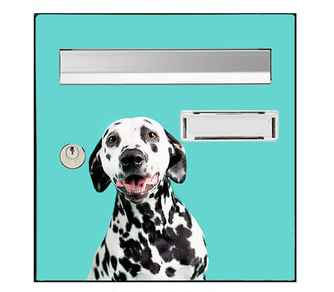 Dalmatian head dog letterbox sticker