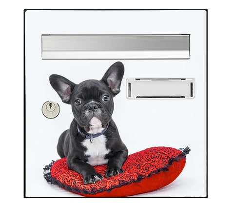 Sticker for letterbox, Bulldog dog