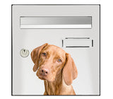 Sticker for mailbox, dog