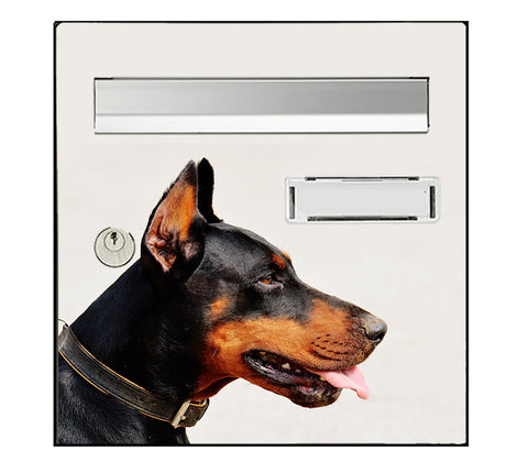 Sticker for letterbox, Doberman dog