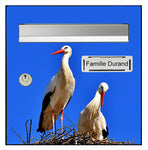 Sticker for letter box, The storks
