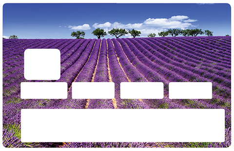 Lavender Fields- credit card sticker, 2 credit card formats available