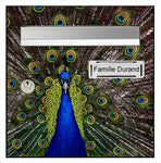 Sticker for letter box, The peacock