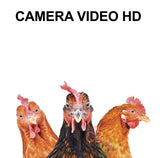Sticker for letterbox, HD video camera