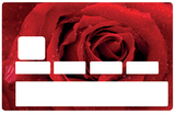 Red rose - credit card sticker, 2 credit card sizes available