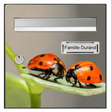 Letterbox sticker, Ladybugs