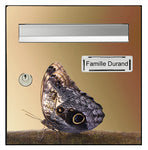Sticker for letter box, Butterfly